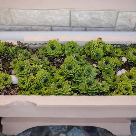 Appartamento Paradise