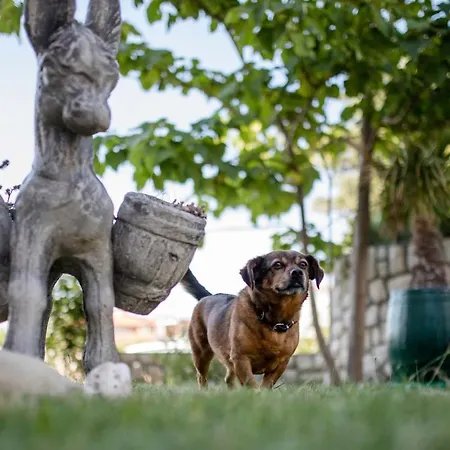 Paradise Апартаменты