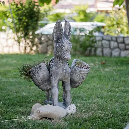 Paradise Апартаменты