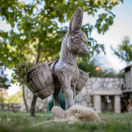 Апартаменты Paradise *